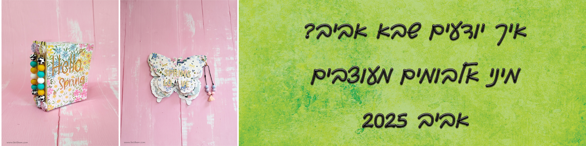 מיני אלבומים מעוצבים - אביב 2025